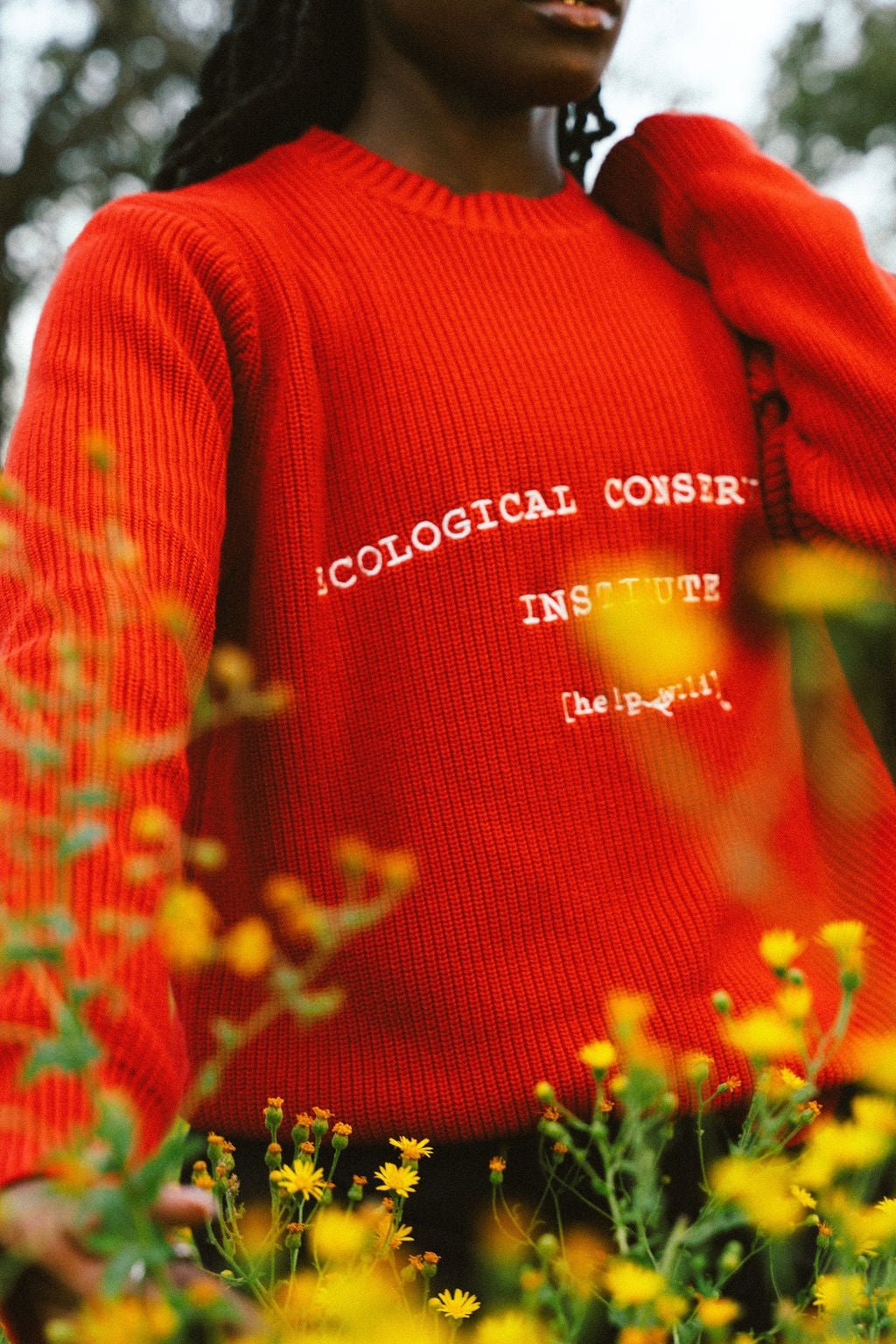 Institute Knit Sweater - Red