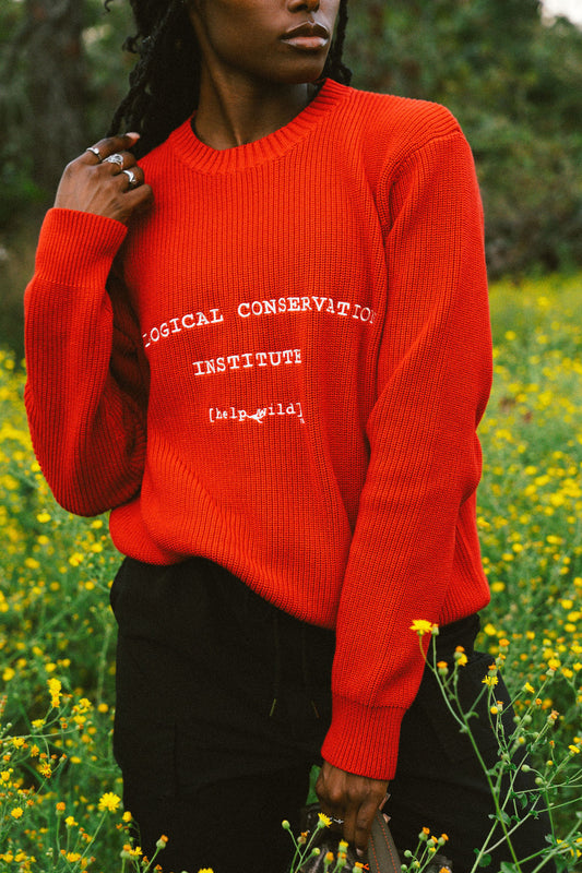 Institute Knit Sweater - Red