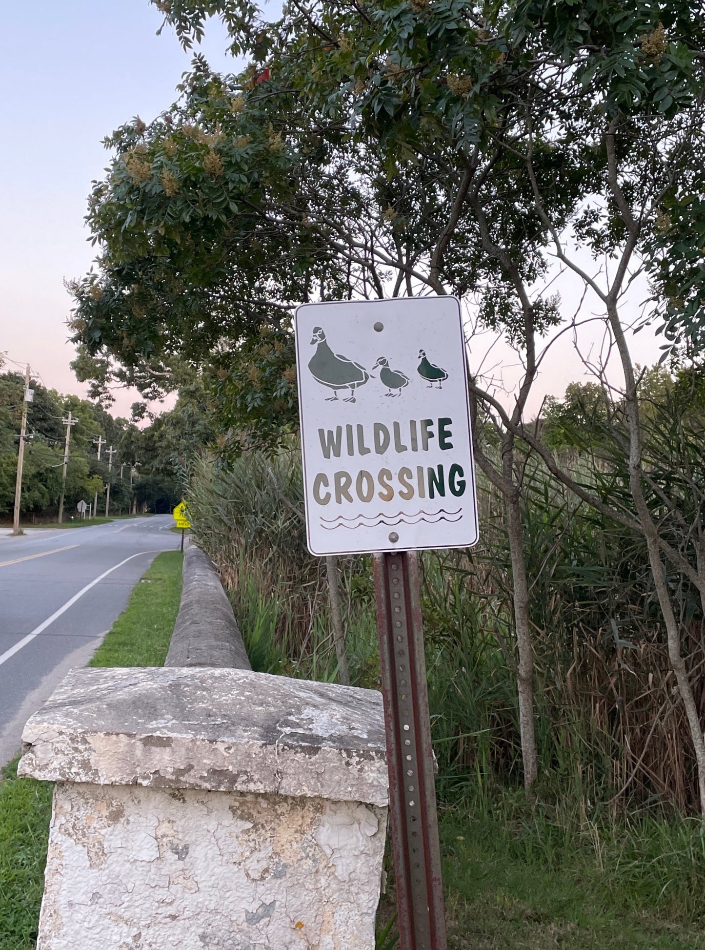 Tee - Wildlife Crossing