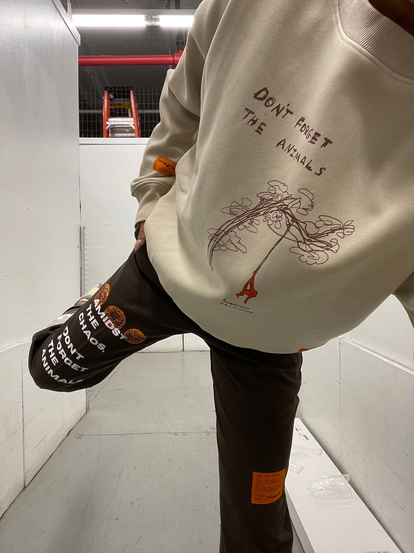 Orangutan Endangered Species sweater made of organic cotton in the streetwear style