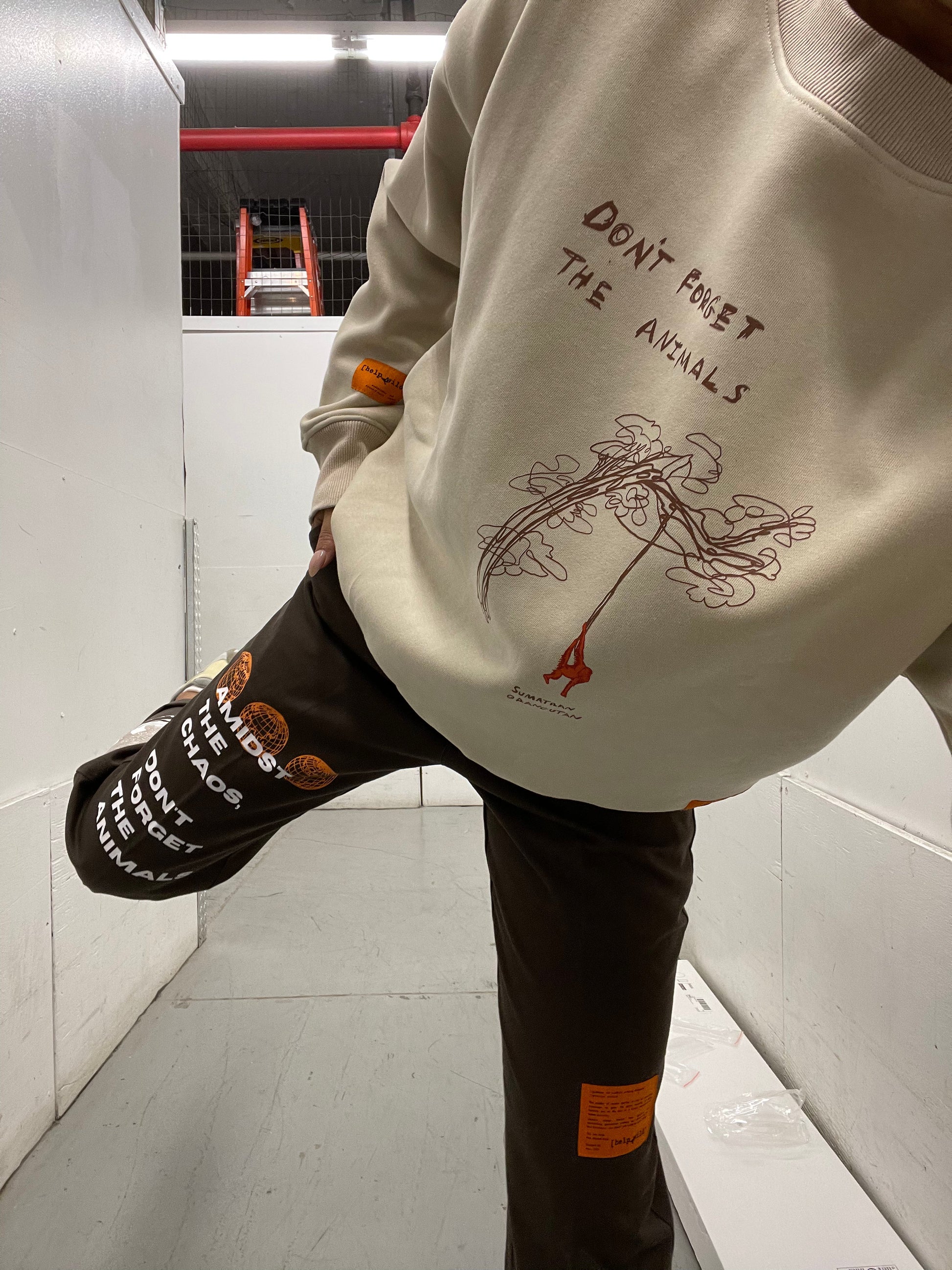 Cream Colored Orangutan Endangered Species sweater made of organic cotton in the streetwear style with the phrase Don't Forget The Animals